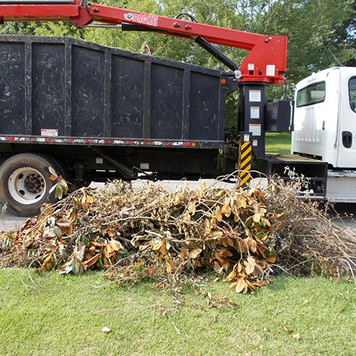 Debris Removal