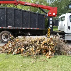 Truck with boom arm picking up tree limbs from the curb in a residential neighborhood