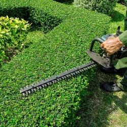Worker trimming bushes with precision