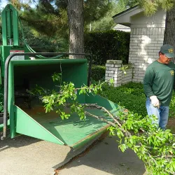 Worker feeding a tree limb into the wood chipper at a private home