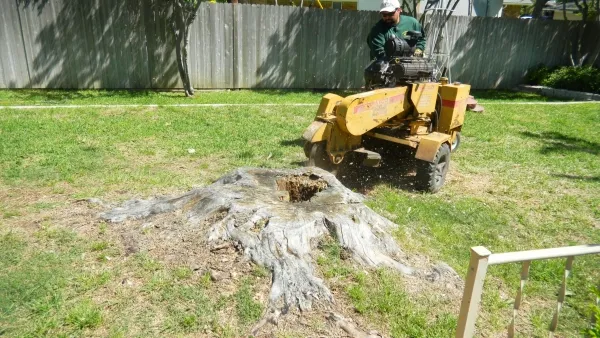 Stump Removal