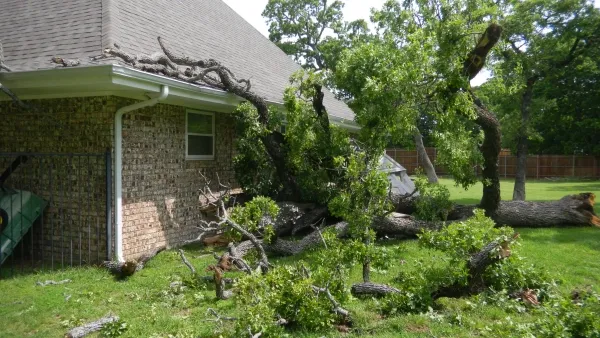 Emergency Tree Removal