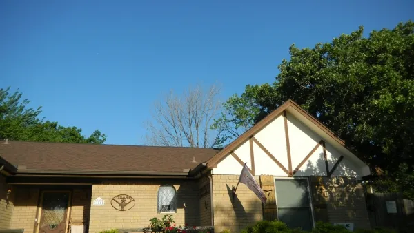 Silver Maple Leaf Tree Removal