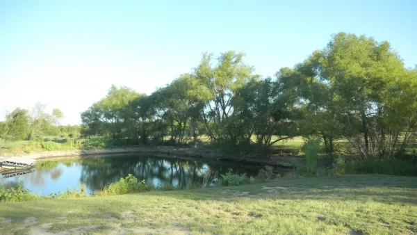 Clearing Debris / Tree Trimming