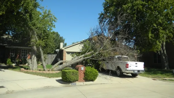 Emergency Tree Removal