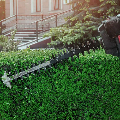 Bushes and Shrubs Trimming
