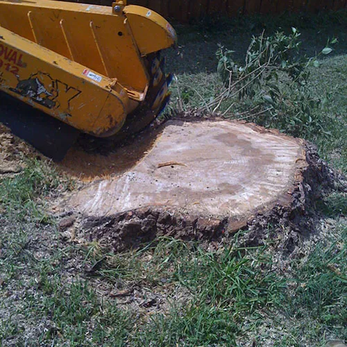 Stump Grinding